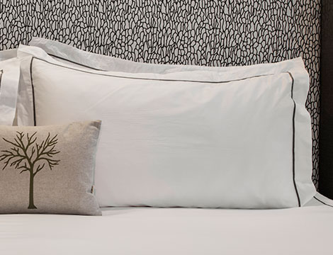Charcoal Embroidered Pillow Shams